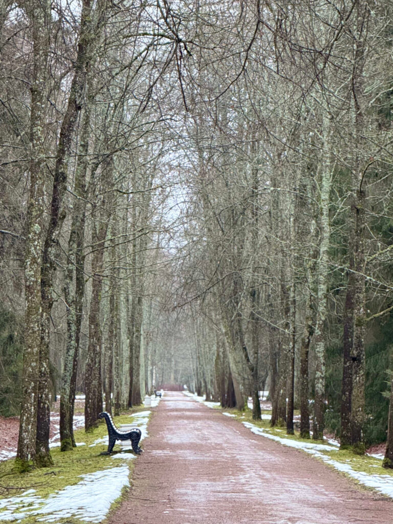 Saint Petersburg, photo 3 of 15
